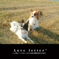     Love letter*   