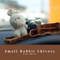 Small Rabbit Chicory