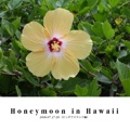 Honeymoon in Hawaii