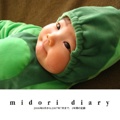 midori diary