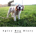 Spicy Dog Diary