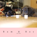 Ram & Ray