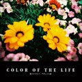 COLOR OF THE LIFE