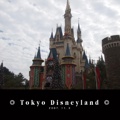 ◎ Tokyo Disneyland ◎