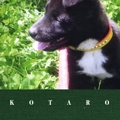 KOTARO