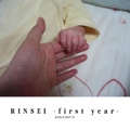RINSEI -first year-