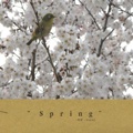   ”Spring”  