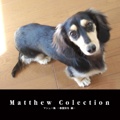 Matthew Colection