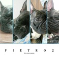 PIETRO2