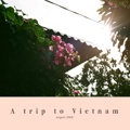 A trip to Vietnam