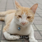 One Day of Cha-Tora