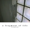 a fragment of life