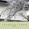 "Sakura"2008