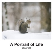 A Portrait of Life  