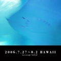 2006.7.27～8.2 HAWAII