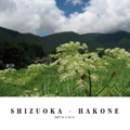 SHIZUOKA - HAKONE