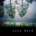      Lazy Bird