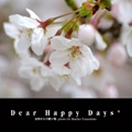 Dear Happy Days*