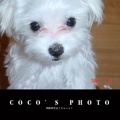 COCO’S PHOTO