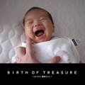 ＢＩＲＴＨ ＯＦ ＴＲＥＡＳＵＲＥ