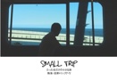 Small Trip