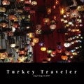 Turkey Traveler