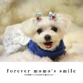 Forever momo's smile