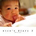 uico's diary 3