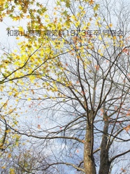 和歌山高専 電気科1973年卒 同窓会