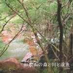 和歌山の森と川と渓魚