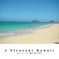 A Pleasant Hawaii