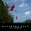 HATERUMA BLUE