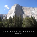 California Nature