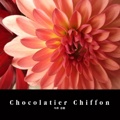 Chocolatier Chiffon