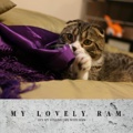 MY LOVELY RAM