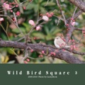 Wild Bird Square ３