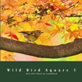 Wild Bird Square 5