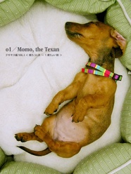 o1／Momo, the Texan