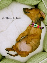 o1／Momo, the Texan