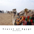 Travel of Egypt
