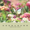 我很喜歡台灣的蝴蝶