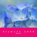 Flowers 2009
