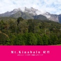    Mt.Kinabalu 紀行   
