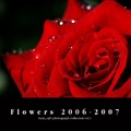 Flowers 2006-2007