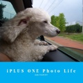 iPLUS ONE Photo Life