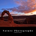 Nature Photographs