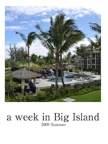 a week in Big Island
