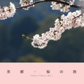 京都・桜の旅