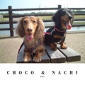 CHOCO & NACHI