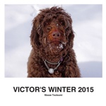 VICTOR'S WINTER 2015